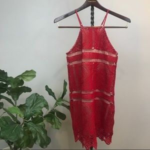 Francesca’s Red lace dress!